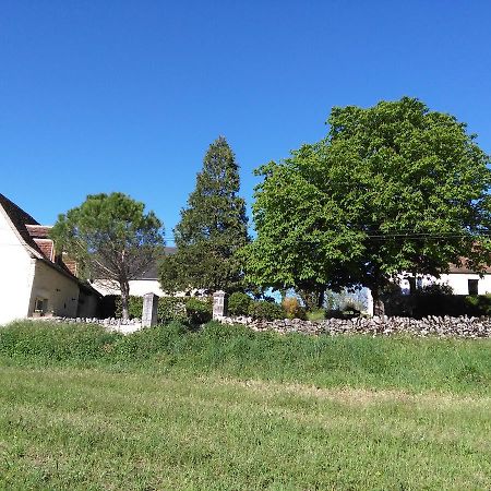 Bergerie De Lagarrigue Acomodação com café da manhã Baladou Exterior foto